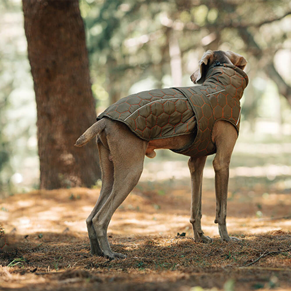 Quilted Outdoor Dog Vest - Warm and Durable for Hiking and Adventures