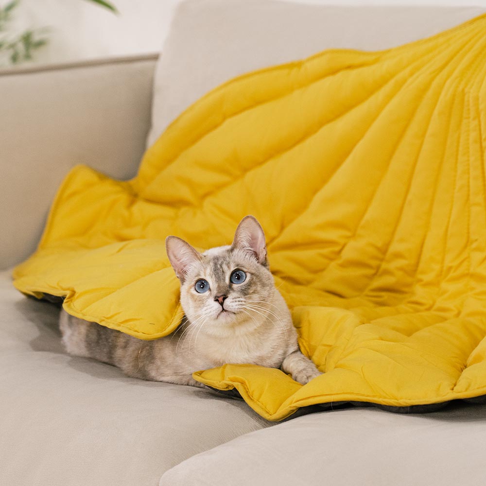 All-Season Washable Throw Furniture Protector Cat Bed Blankets