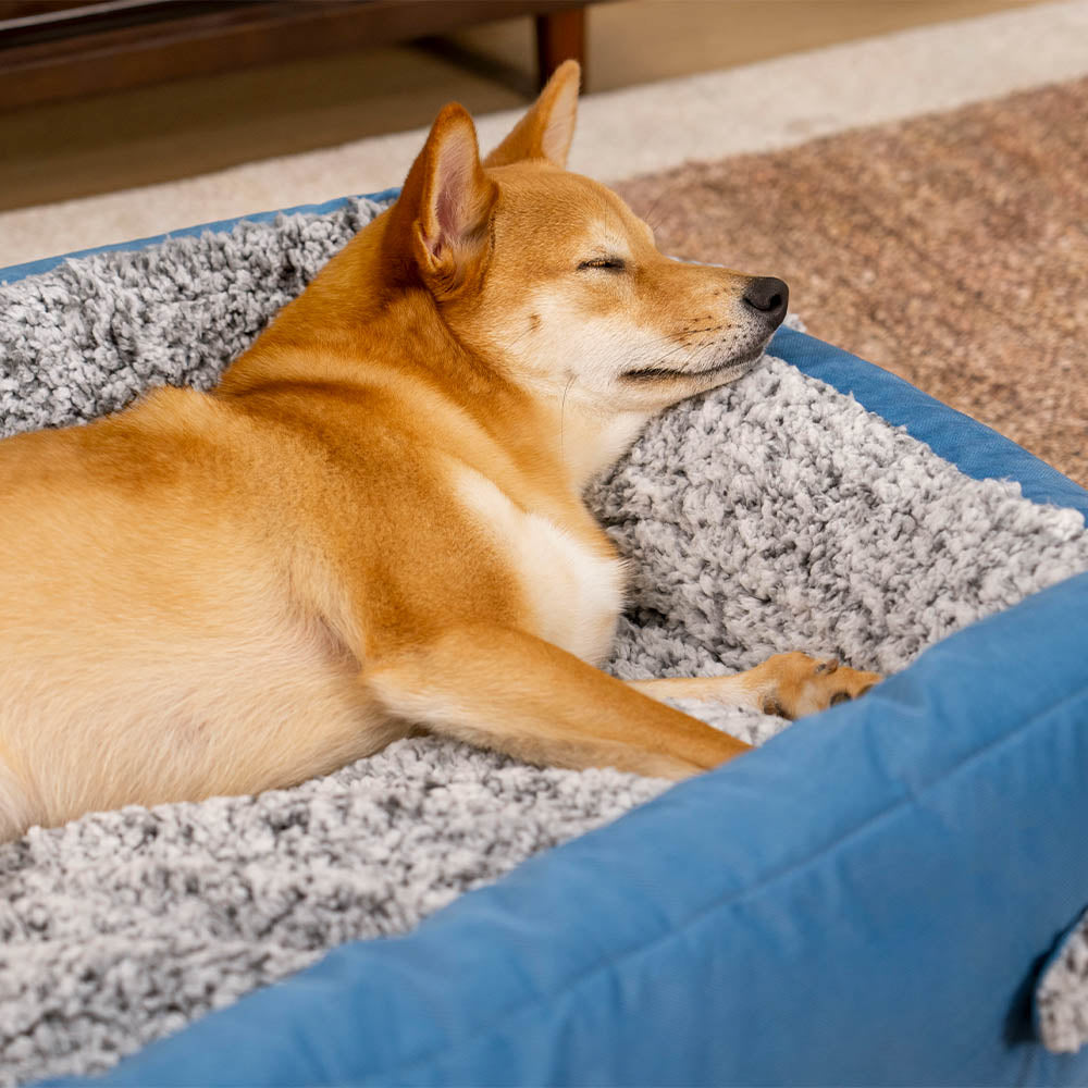 Large Cozy Bolster Dog Bed with Foldable Blanket Quilt - Azure Pupnap