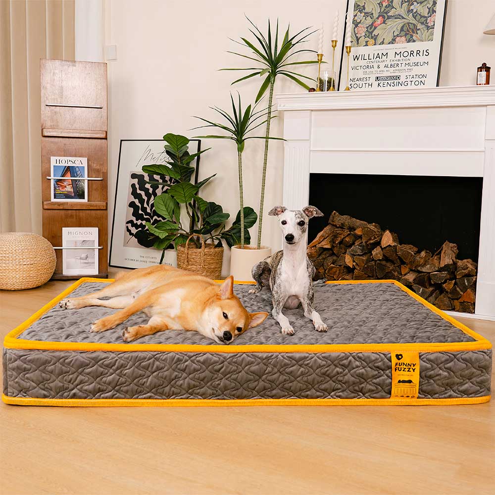 Human-grade Innerspring Coils Orthopedic Human Dog Bed - Everdream