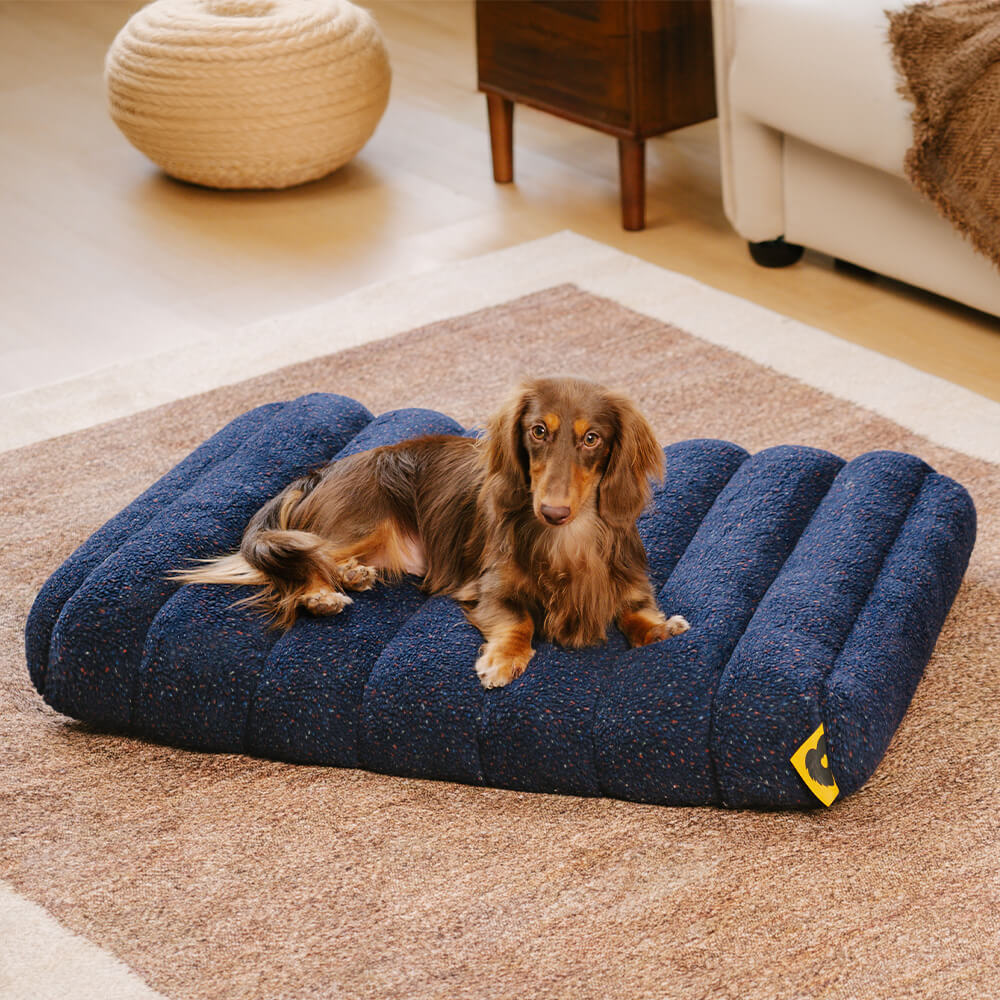 Large Washable Creamy Cozy Flat Dog Beds - Cheesecake