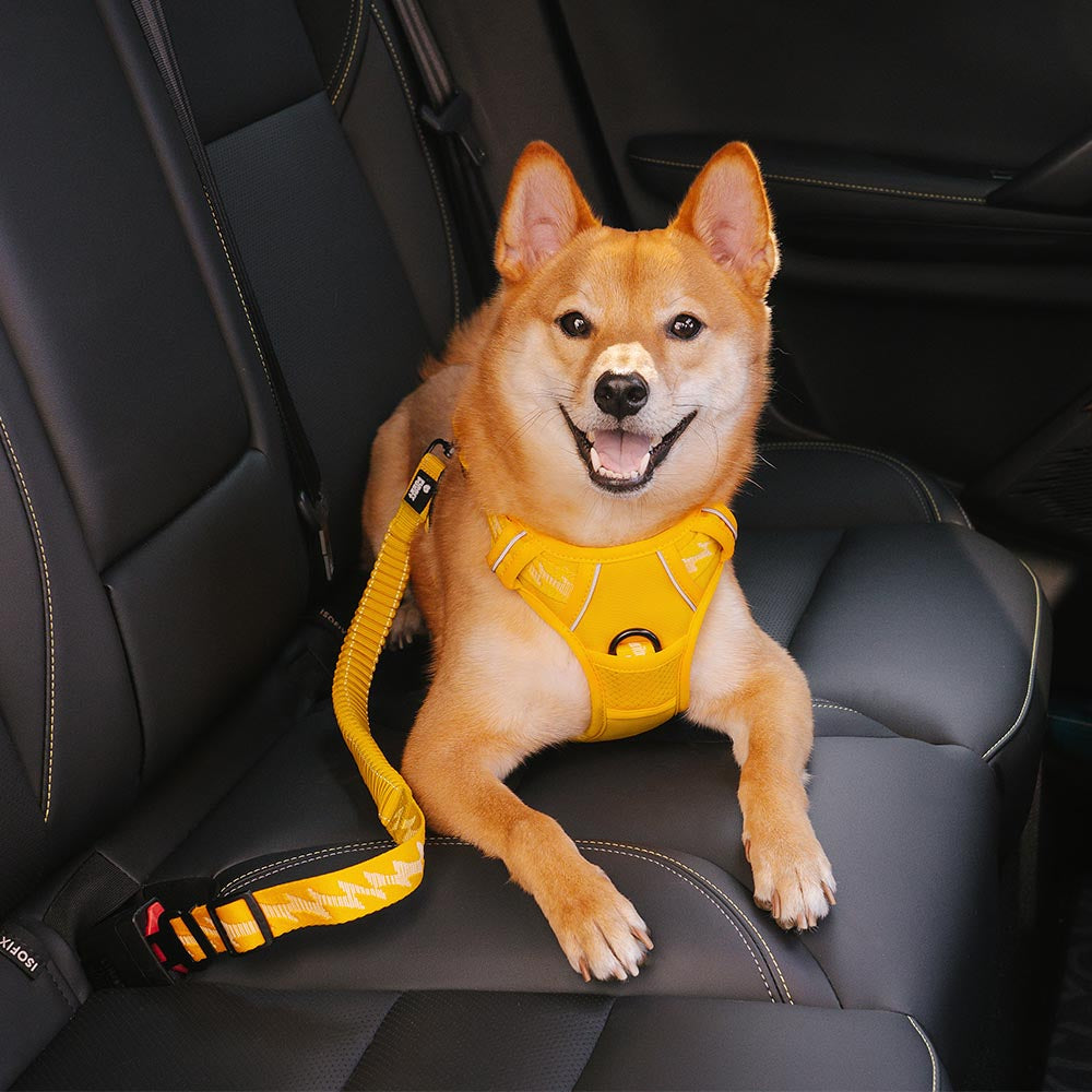 Buffer Adjustable Cool Dog Accessories Car Seat Belt