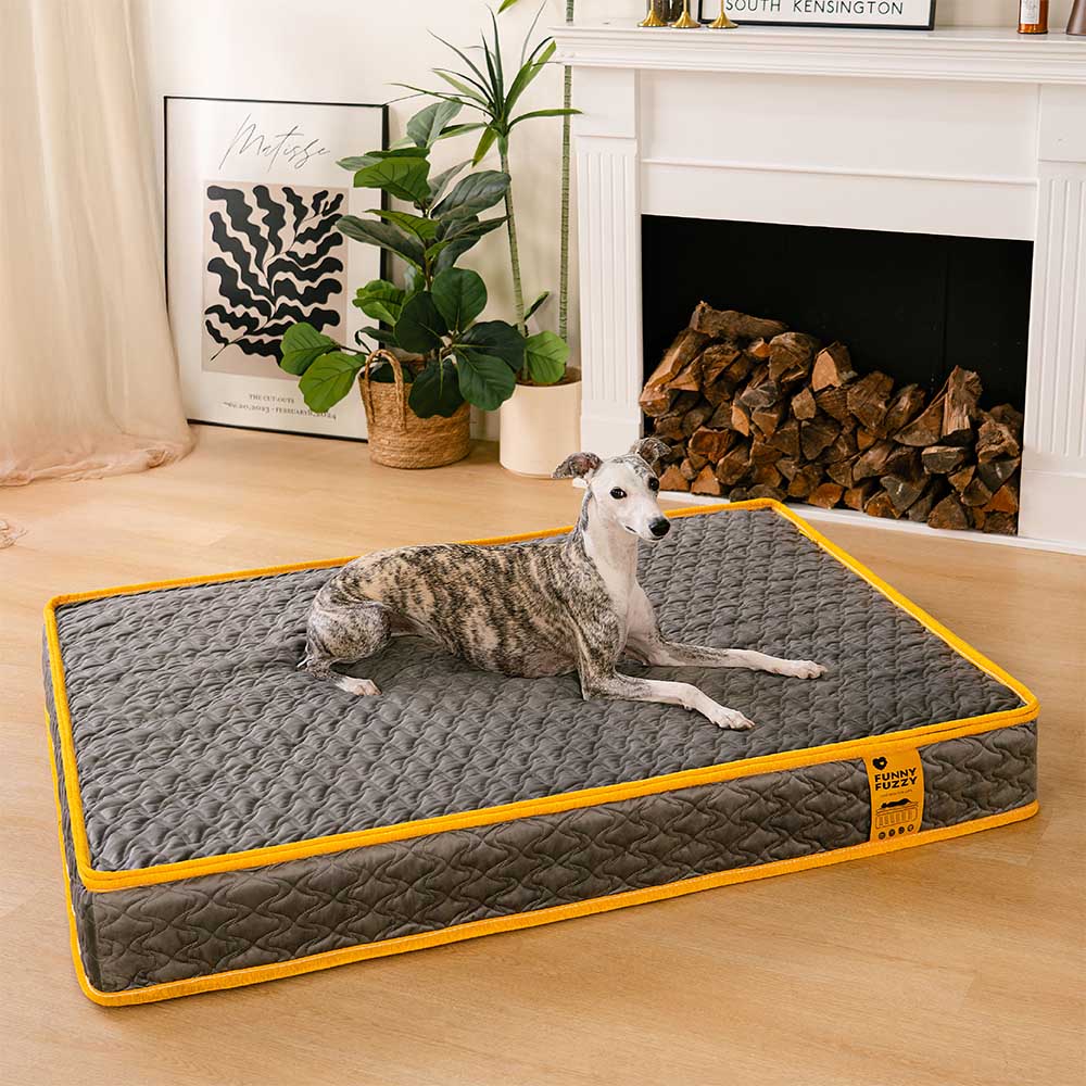 Human-grade Innerspring Coils Orthopedic Human Dog Bed - Everdream