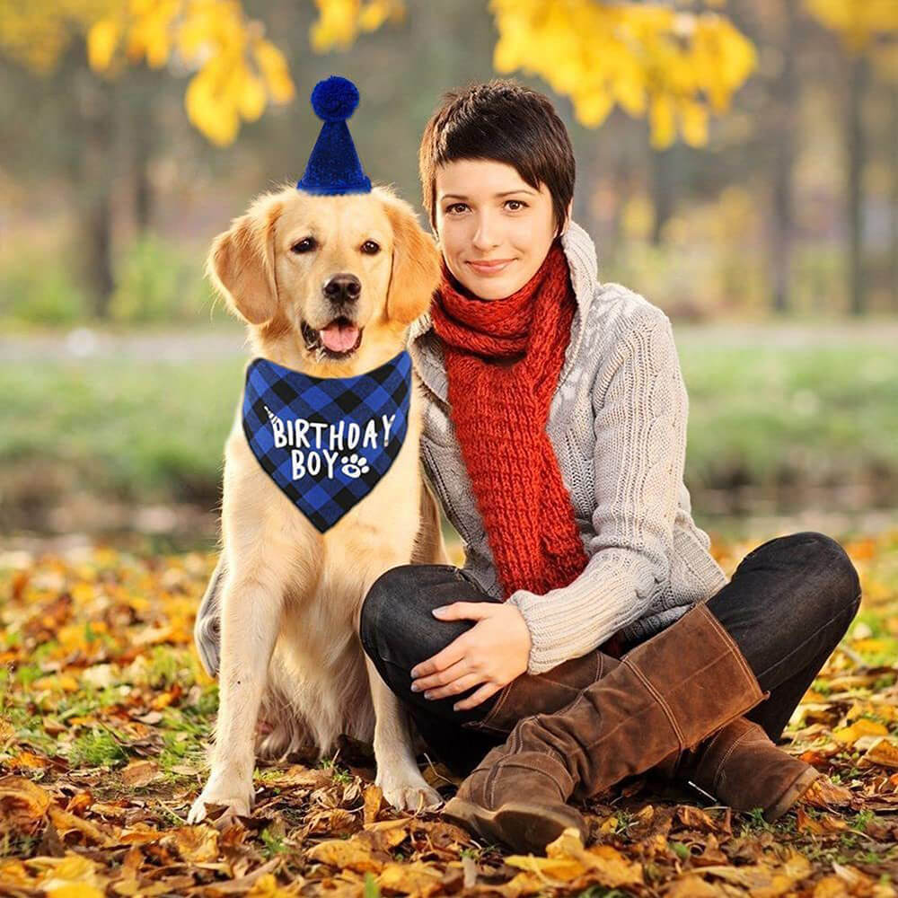 Dog Birthday Boy & Girl Party Set - Blue Plaid Bandana and Hat with Number Stickers