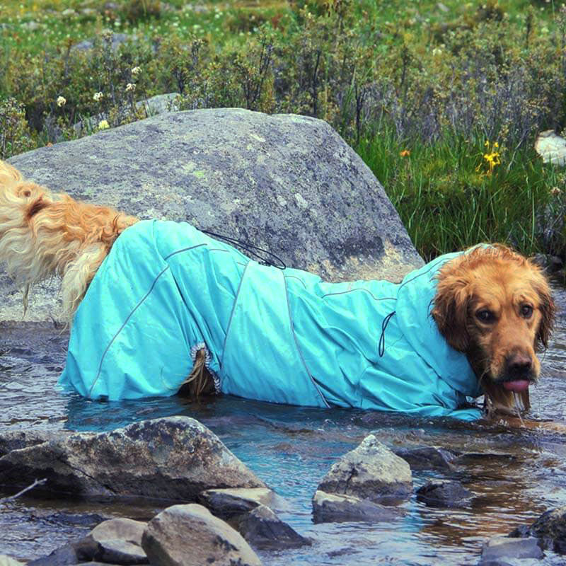 Large Dog Outdoor Jacket Waterproof Adjustable Dog Rain Coat