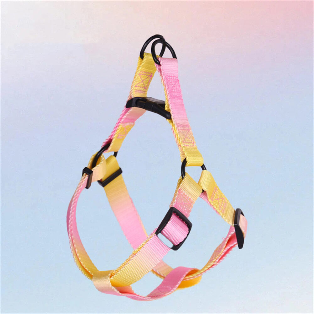 Colorful Gradient Dog Traction Rope and Chest Harness - Anti-Breakaway Design