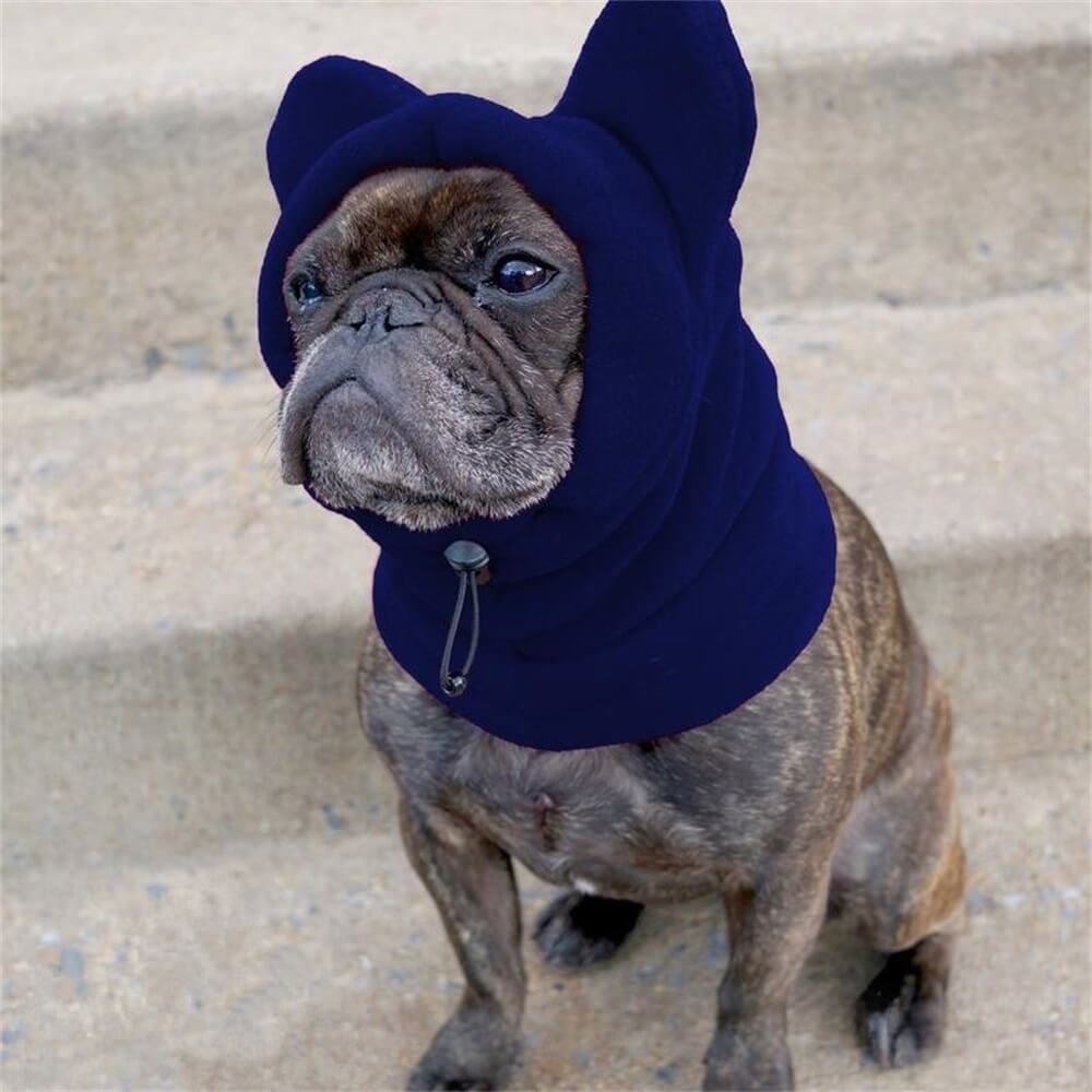 Fleece Dog Hood with Bear Ears – Fun and Cozy Winter Headwear