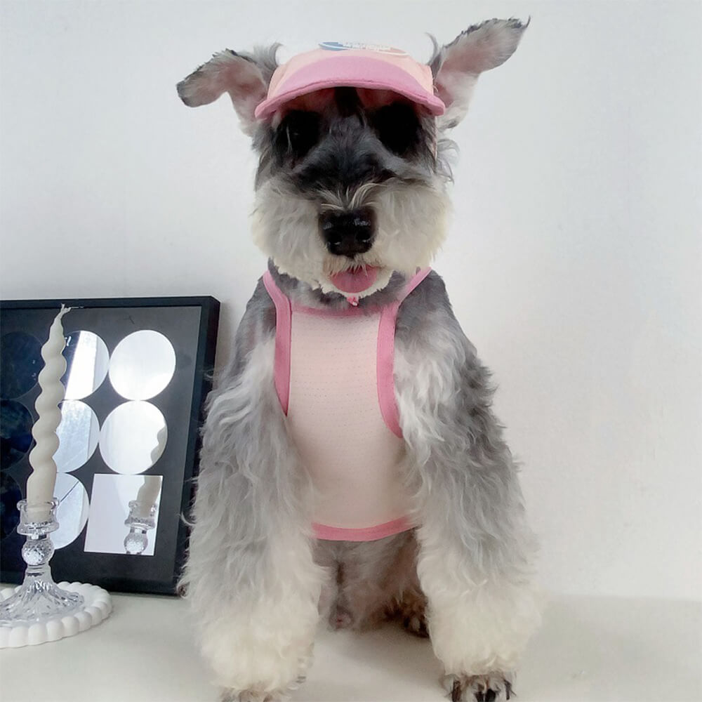 Pet dog clothes contrast color matching can put ice pack to cool down the sun protection tank top