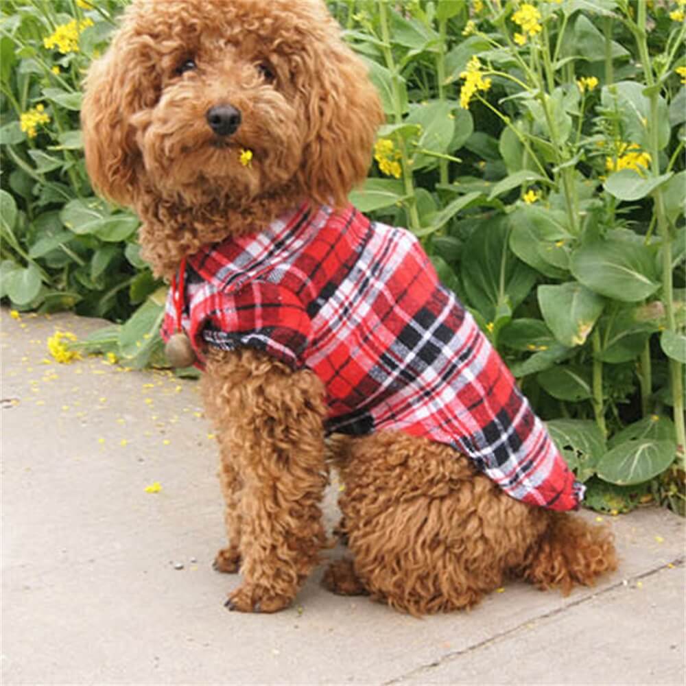 Classic Plaid Dog Shirt - Cozy and Stylish for Every Occasion