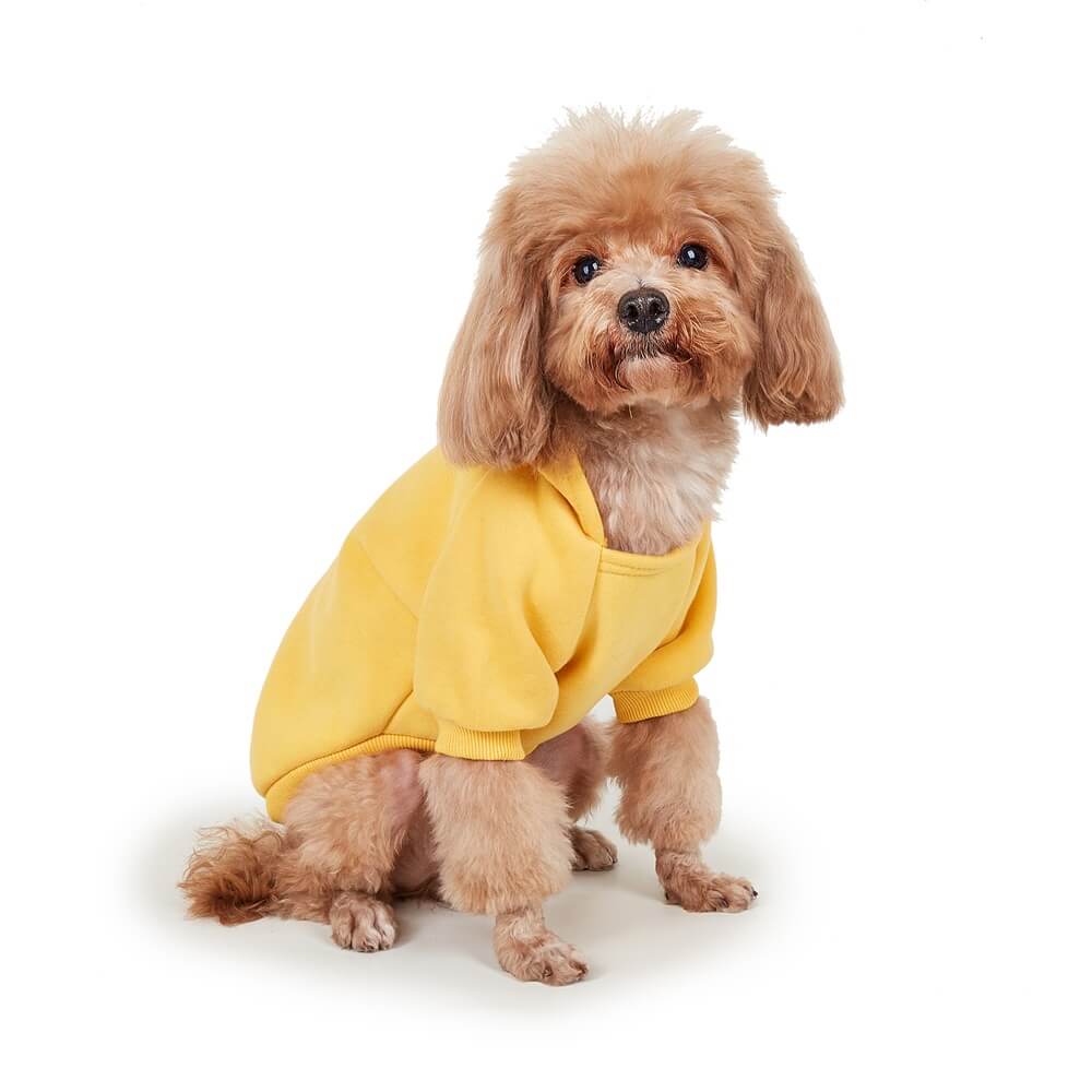 Cozy Solid Color Dog Hoodie – Available in Four Colors