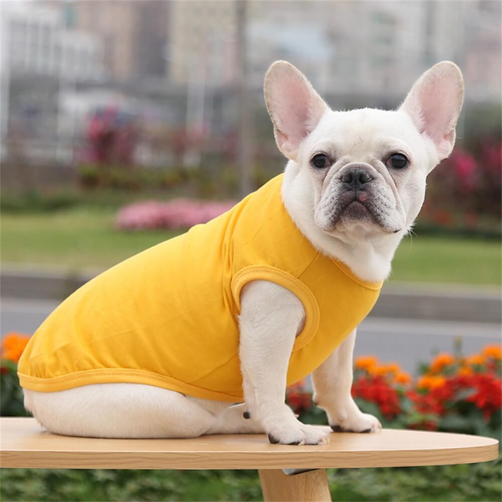 Cotton Solid Color Basic Vest Pet Clothing