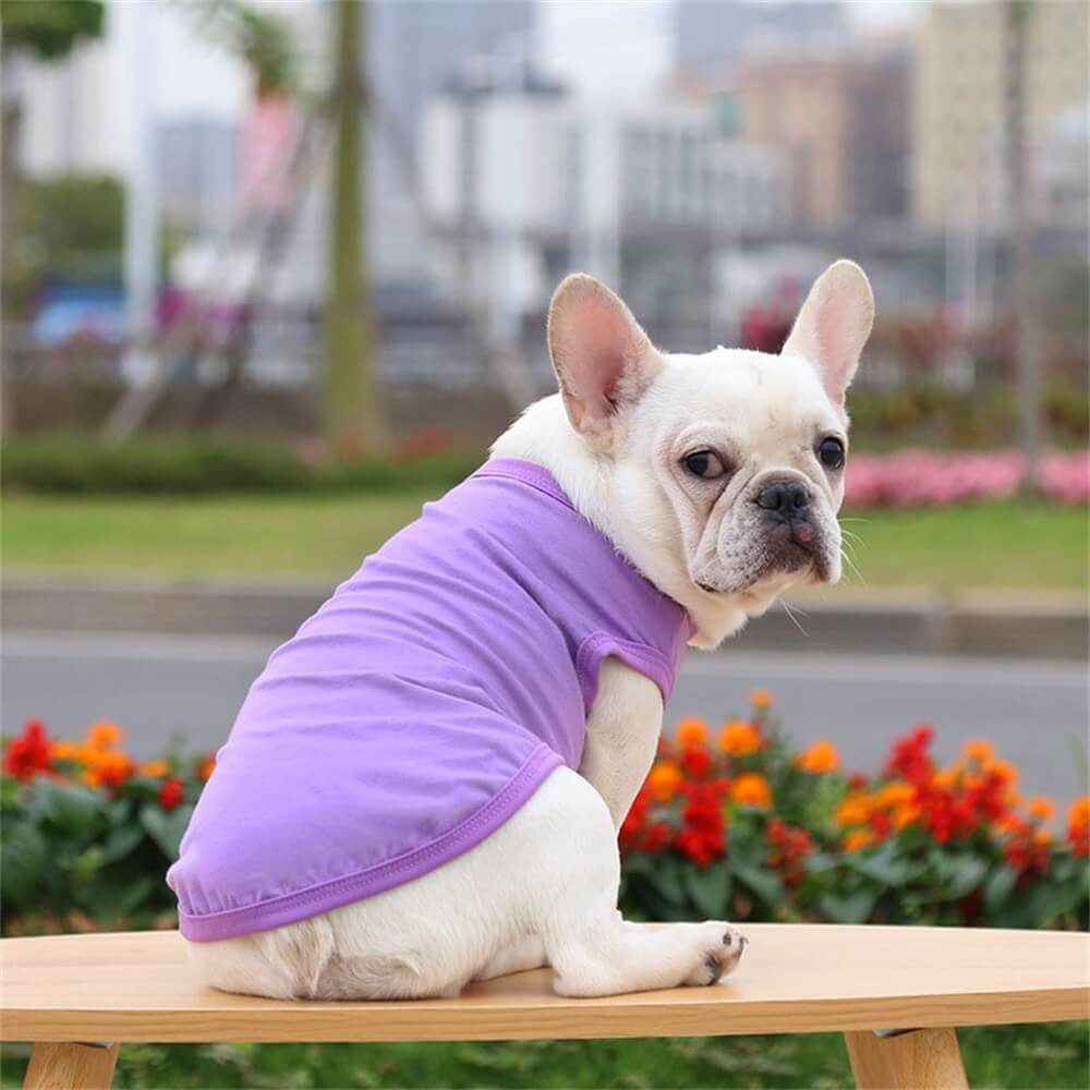 Cotton Solid Color Basic Vest Pet Clothing