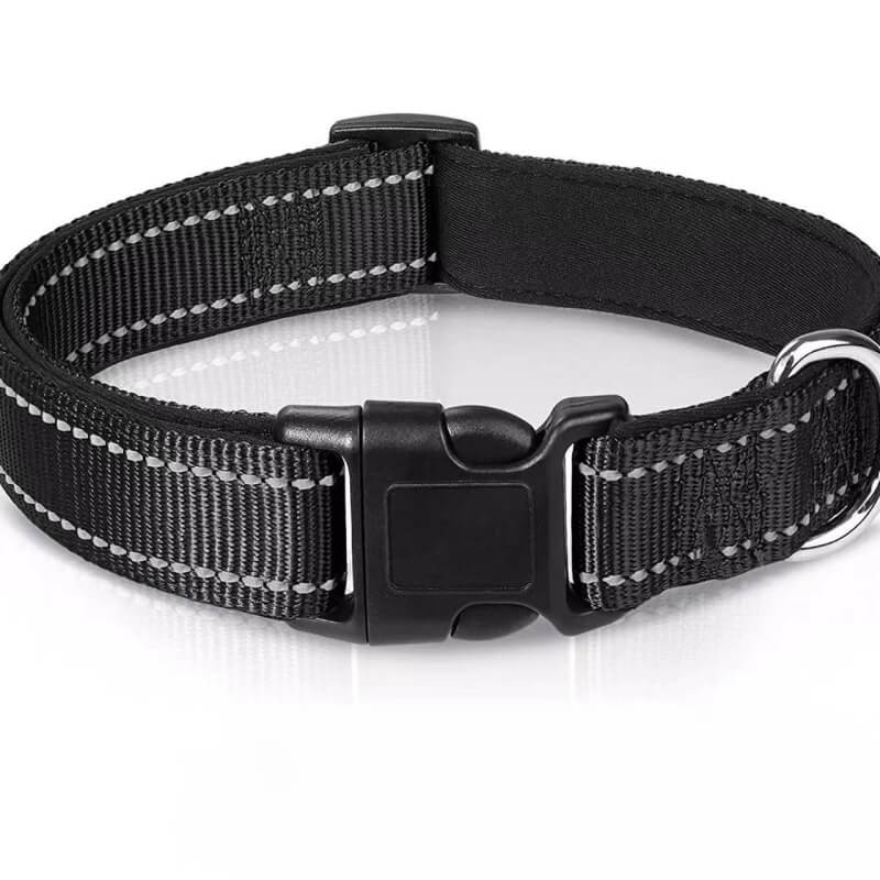 Adjustable Reflective Safety Nylon Dog Collar