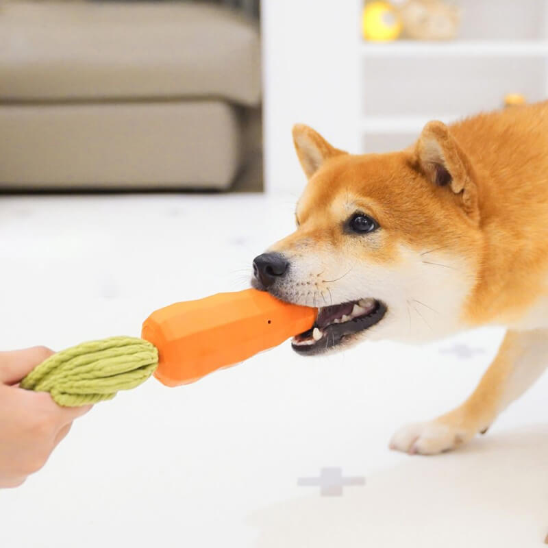 Brinquedo durável para mastigar cachorro com cenoura estridente