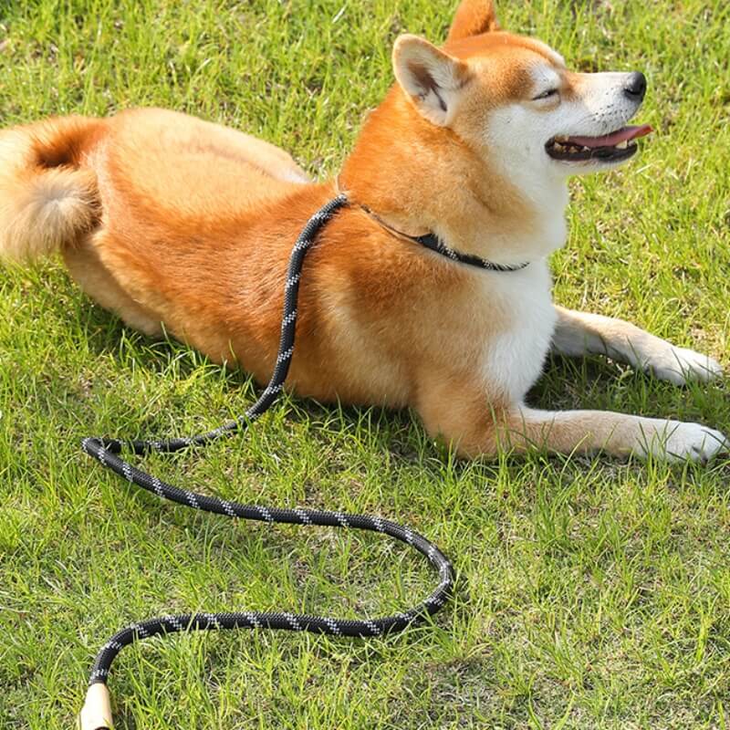 Explosion-Proof Nylon Braided Dog Leash Non-Pull