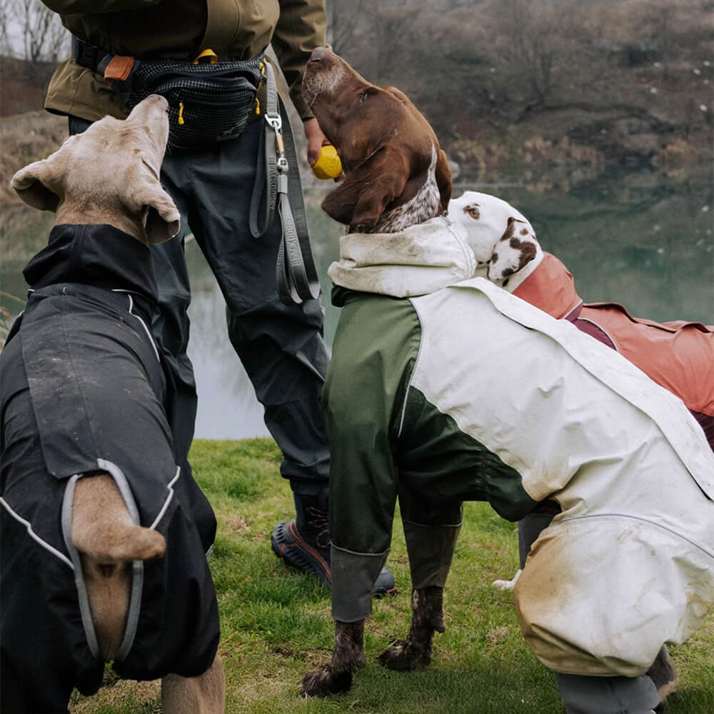 Large Adjustable Reflective Outdoor Dog and Human Matching Raincoat