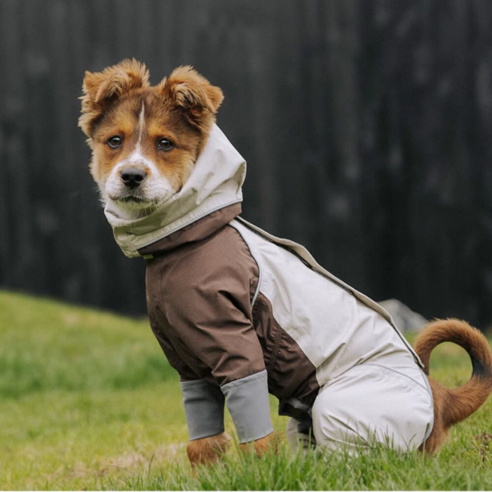 Four-Legged Lightweight Waterproof Turtleneck Reflective Drawstring Hooded Raincoat For Dog And Owner