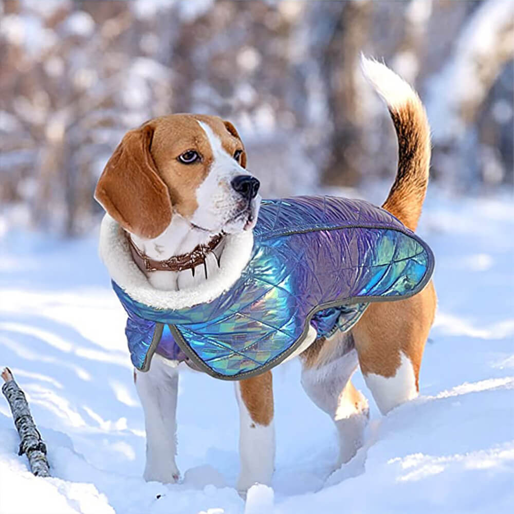 Dazzling Colorful Waterproof Reflective Warm Dog Jacket