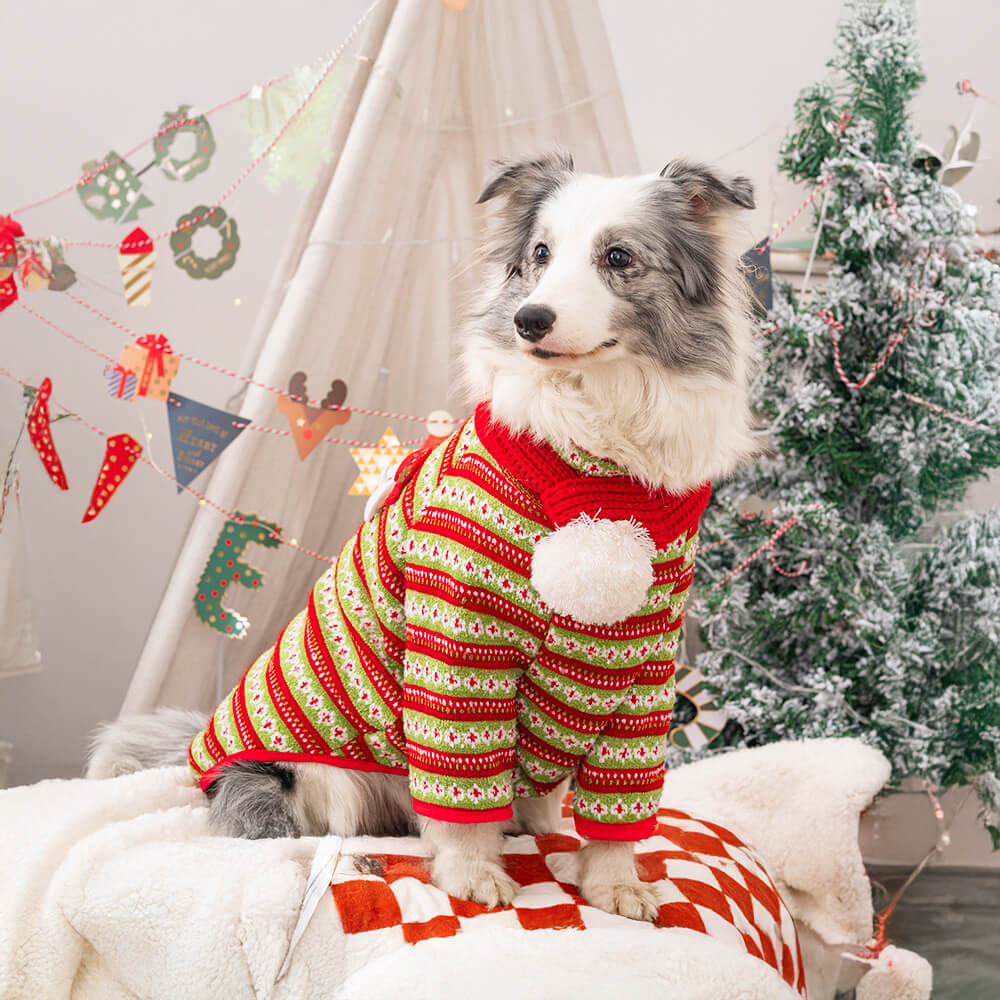 Festive Christmas Santa & Reindeer Design Knit Dog Sweater