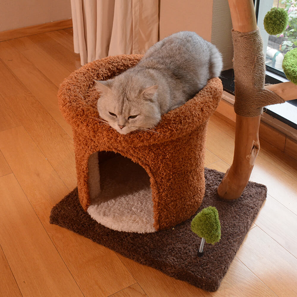 Forest-Inspired Tree Hollow Cat Cave Solid Wood Cat Tree