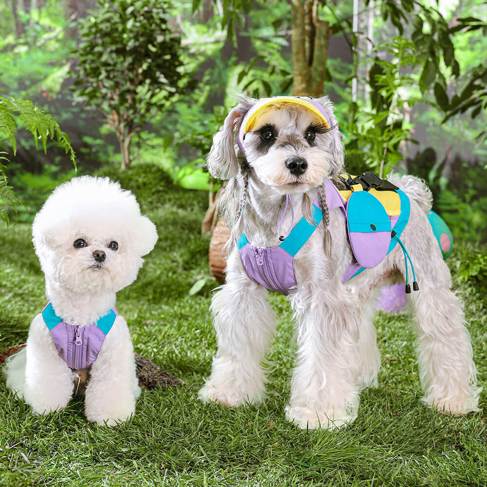 Fashionable Colorful Dog Vest with Sun Hat for Small Dogs