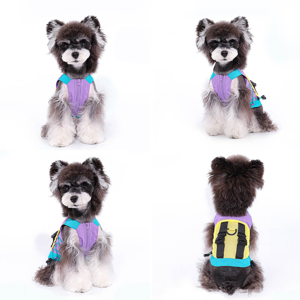 Fashionable Colorful Dog Vest with Sun Hat for Small Dogs