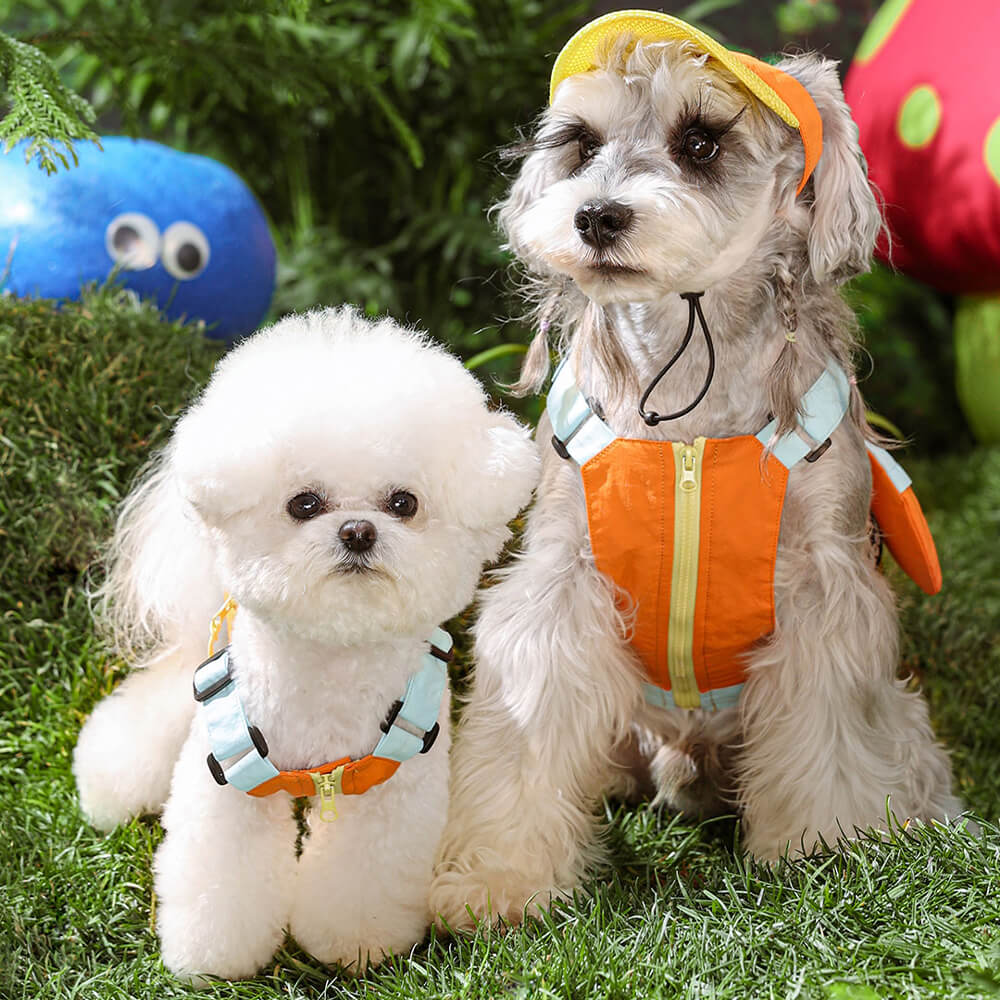 Fashionable Colorful Dog Vest with Sun Hat for Small Dogs