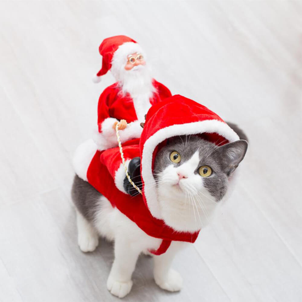 Christmas Party Santa Claus Pet Cosplay Dog Costume