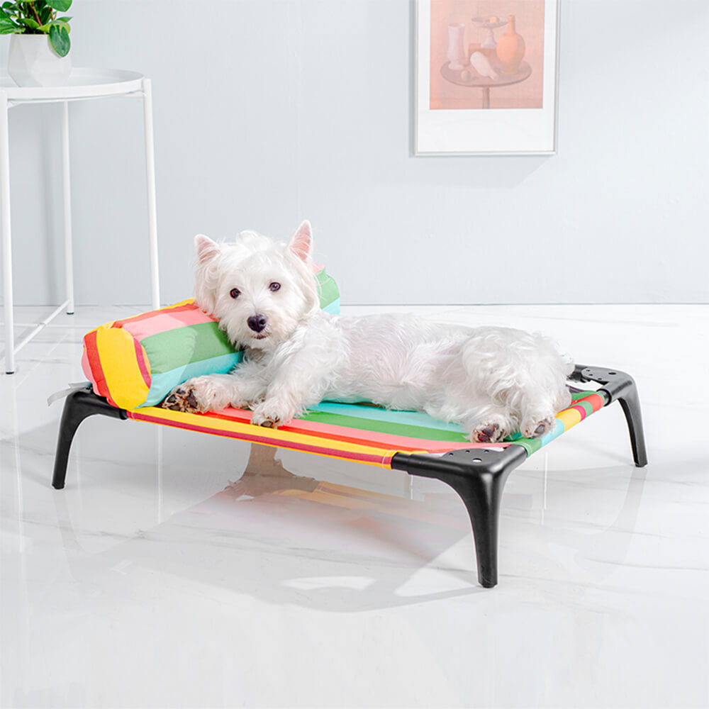 Rainbow Striped Elevated Pet Bed with Pillow – Durable, Bite-Resistant, and Load-Bearing