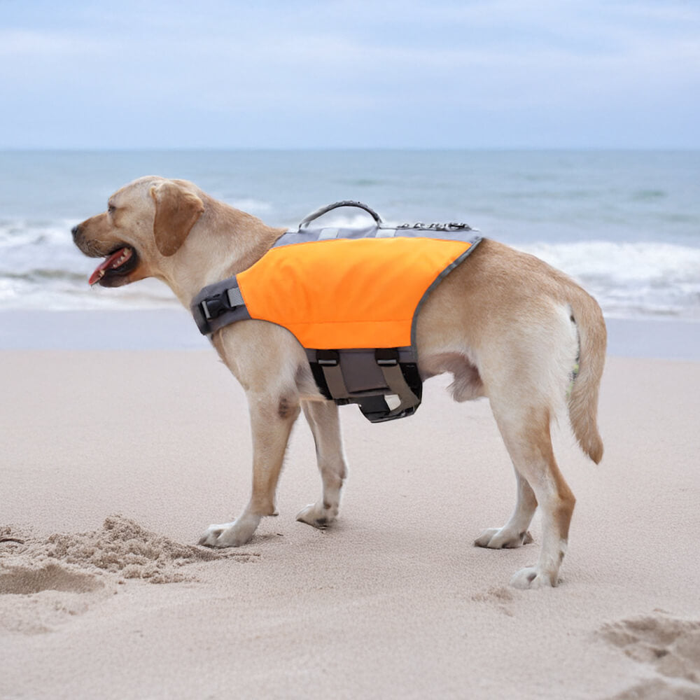 Secure and Buoyant High-Visibility Dog Life Jacket