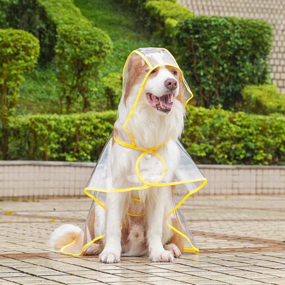 Transparent EVA Waterproof Outdoor Dog Hooded Raincoat