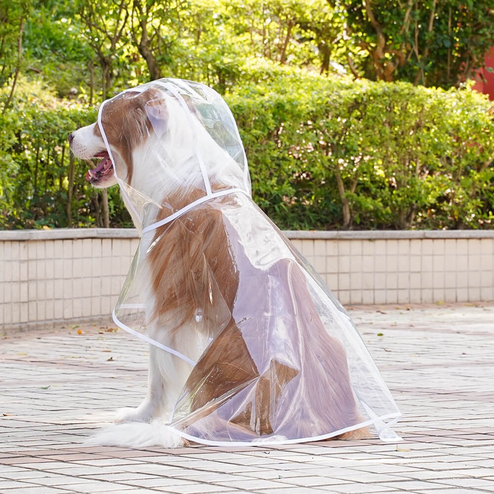 Transparent EVA Waterproof Outdoor Dog Hooded Raincoat