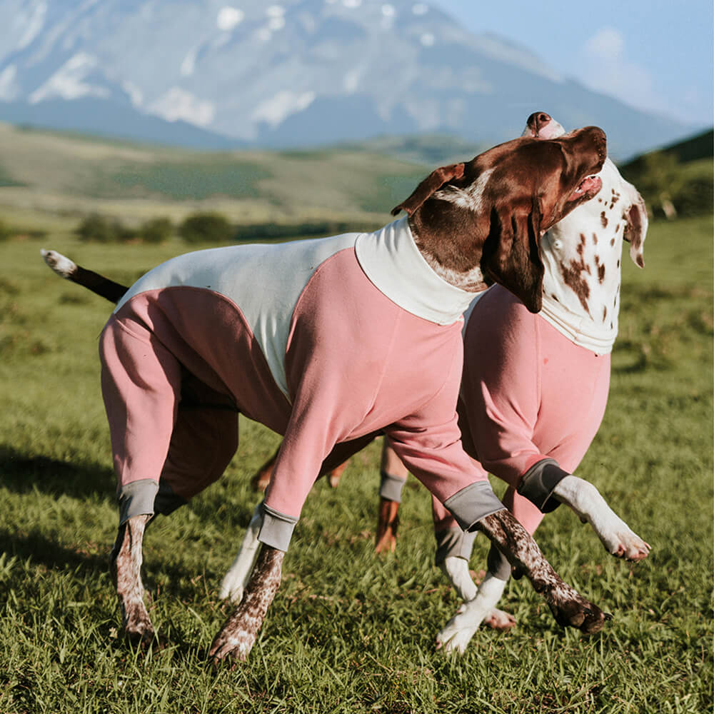 Warm Cozy Turtleneck Stretchable Four-Legged Anti-Static Outdoor Dog Bodysuit