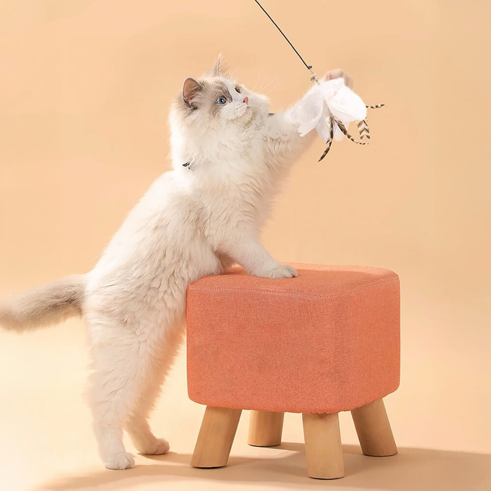 Suction Cup Interactive Feather Teaser Cat Toy