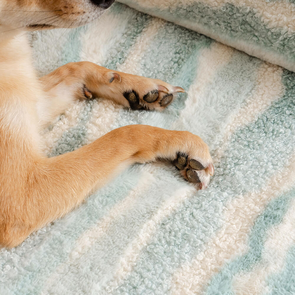 Sofá-cama ortopédico aconchegante para cães em estilo moderno de lã de cordeiro falsa