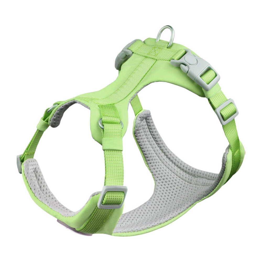 Complete Control Comfortable No-Pull Dog Harness and Leash Kit