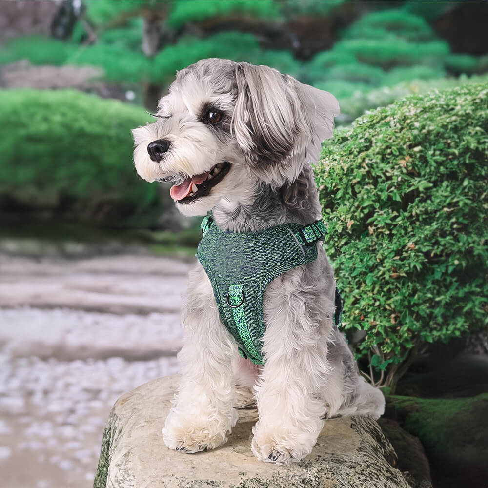 Eco-friendly Recycled Fabric No-Pull Dog Harness/Leash