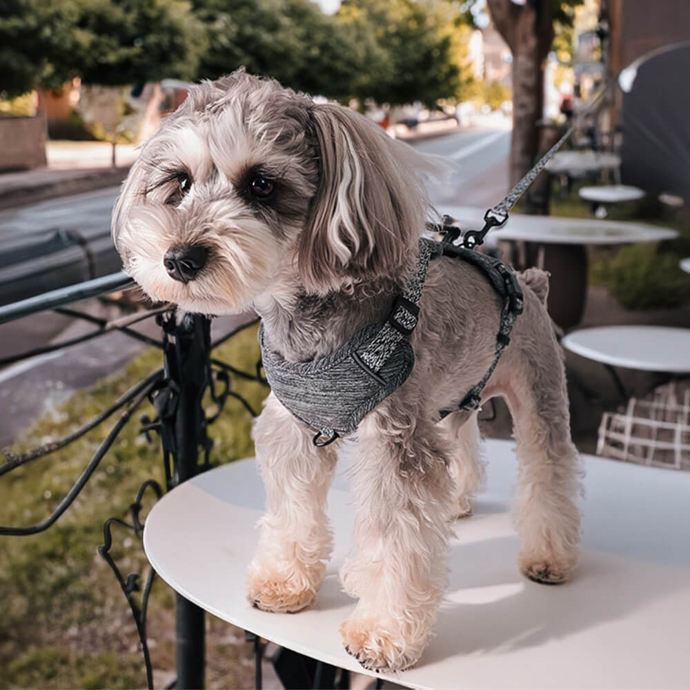 Eco-friendly Recycled Fabric No-Pull Dog Harness and Leash