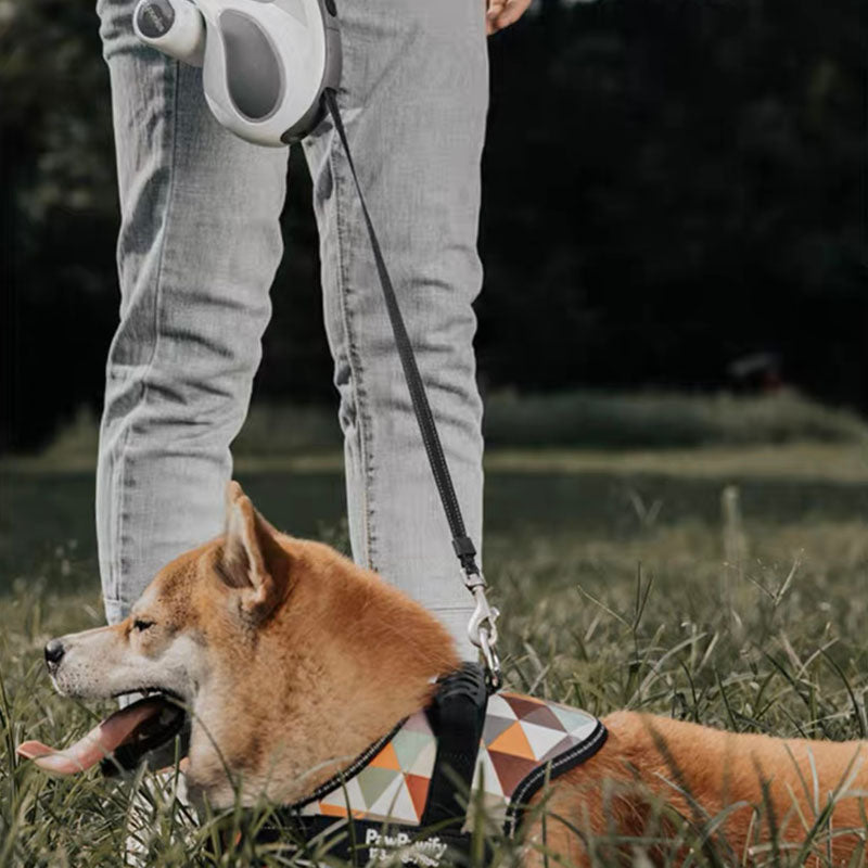 Chumbo de treinamento de acessórios para cães legais retráteis longos de LED