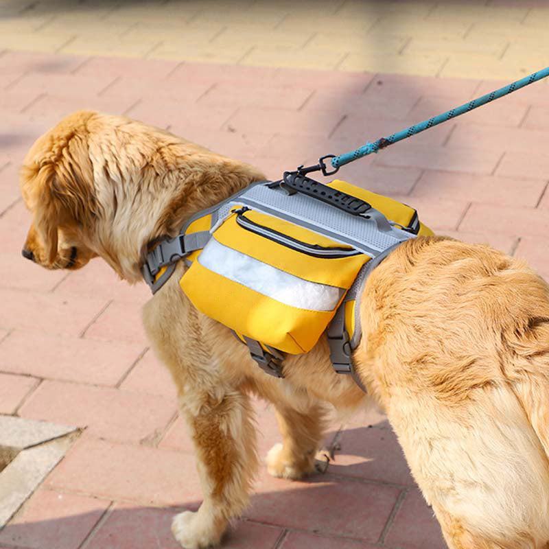 Pacote próprio com arnês tático para cães grandes