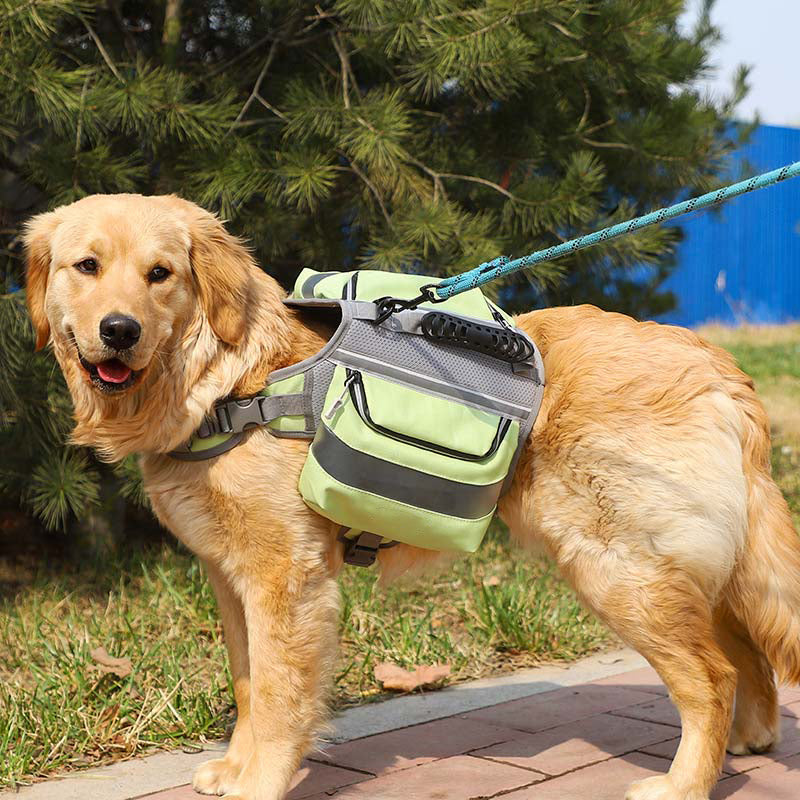 Pacote próprio com arnês tático para cães grandes