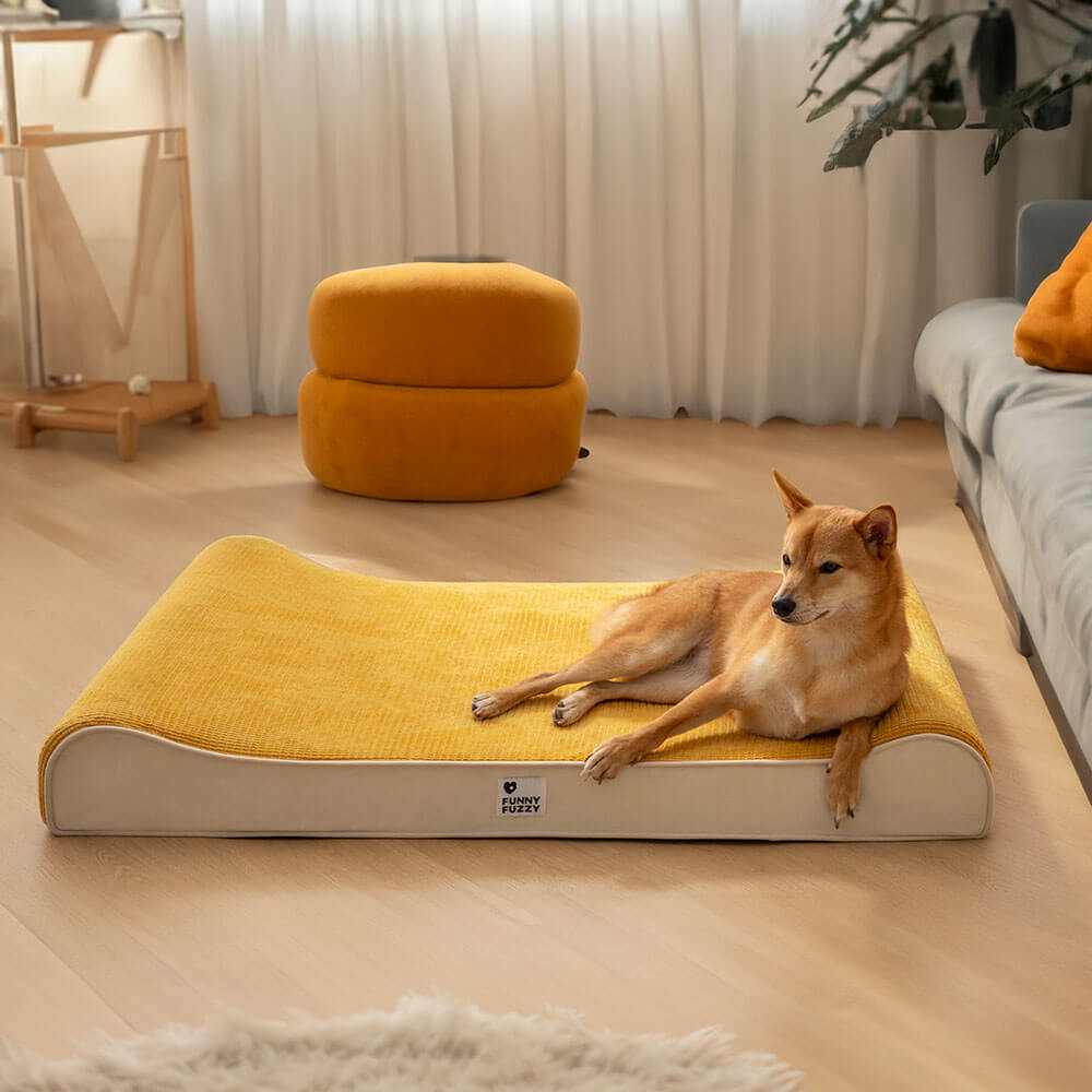 Luxurious Nobility Dog Lounge Chair Orthopedic Dog Bed