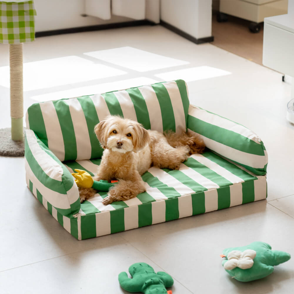 Modern Trendy Color Blocks Waterproof Orthopedic Dog Sofa Bed