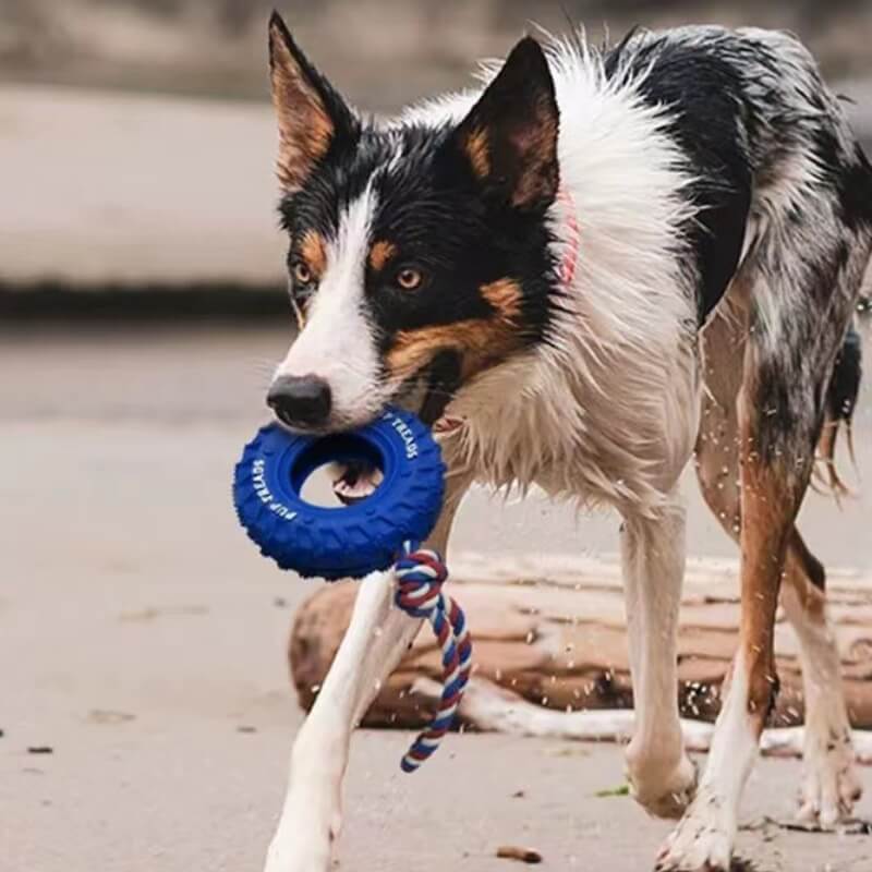 Rubber Tire Dog Interactive Toy Teething and Chewing Toy