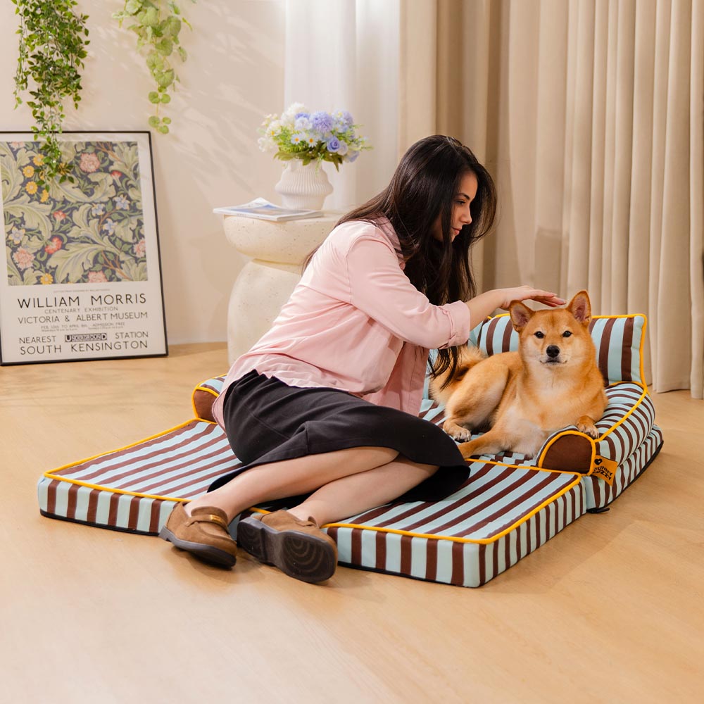 Stripe Waterproof Foldable Dog Sofa Bed - Sunny Siesta