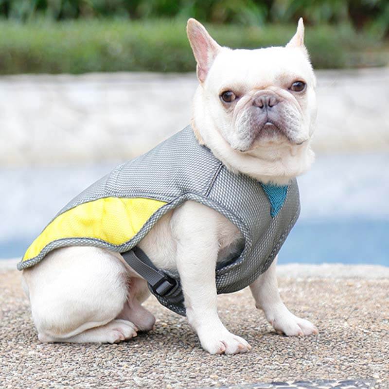 Colete de resfriamento respirável com proteção solar, jaqueta legal para cães, acessórios, colete de resfriamento