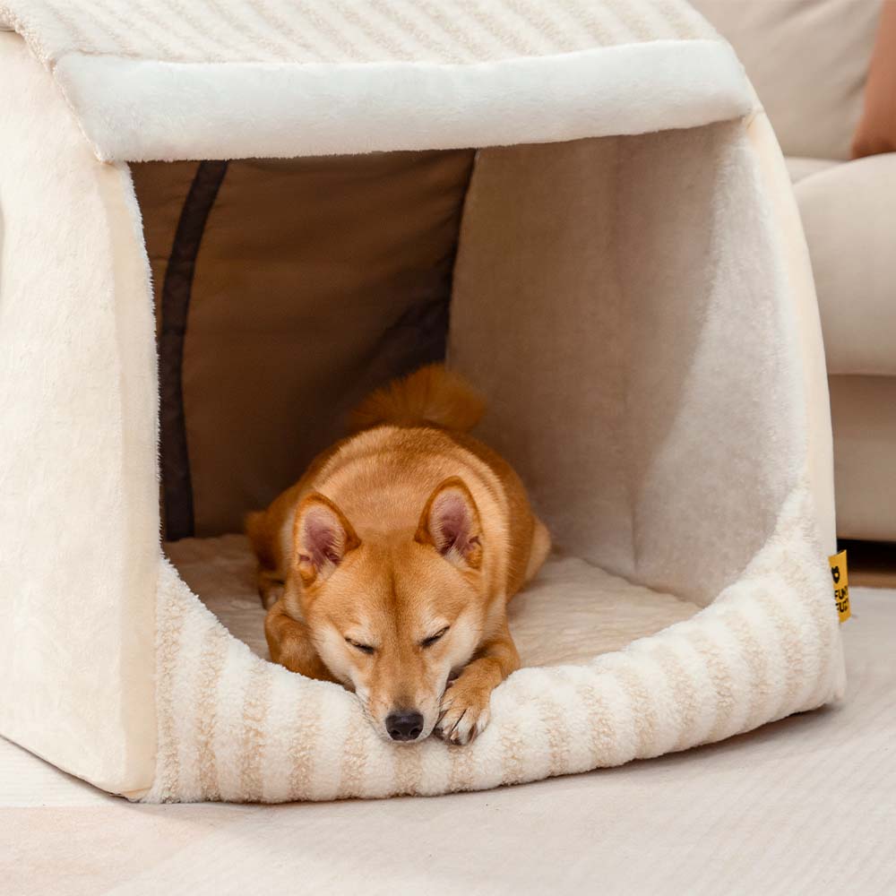 Trendy Striped House Orthopedic Dog Bed - Cozy Hideaway