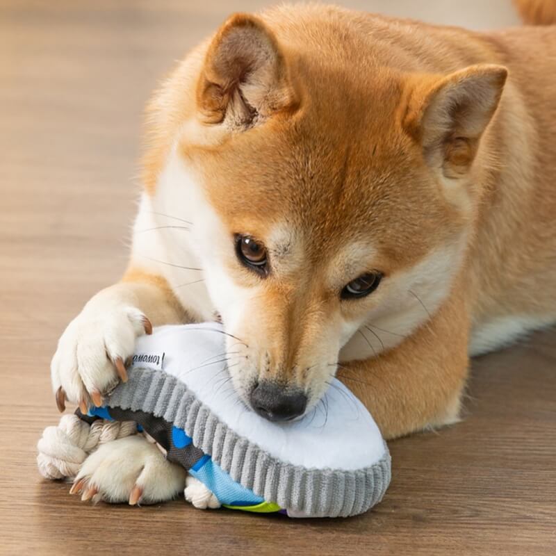 Brinquedo de dentição de cachorro de brinquedo de chinelo de corda de algodão