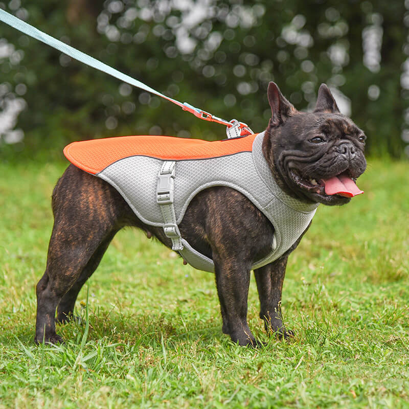 Colete respirável para prevenção de insolação Colete de resfriamento para cães embebido em água