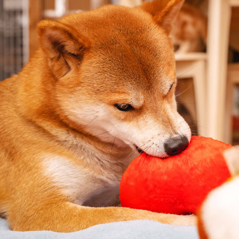 Brinquedo engraçado de pelúcia para cachorro que faz barulho - bunda